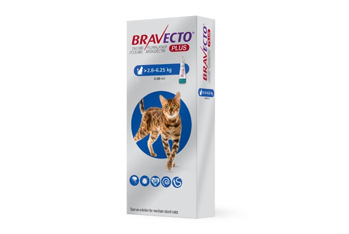 MSD Animal Health has announced the launch of Bravecto Plus, a topical endo- and ectoparasiticide for cats.
