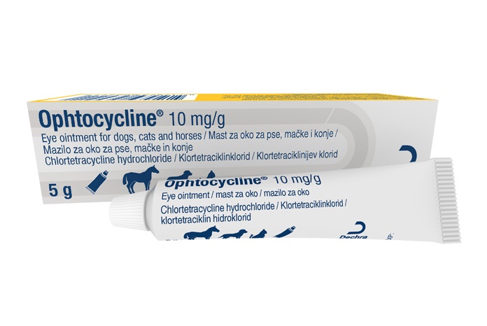 Dechra Veterinary Products has launched Ophtocycline (chlortetracycline hydrochloride), a broad spectrum ophthalmic antibiotic ointment for the treatment of a number of eye infections in dogs, cats and horses.