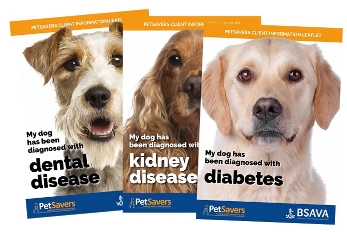 PetSavers, the BSAVA's charitable division, has published My Dog’s Got, a series of downloadable guides for the owners of dogs that have been diagnosed with a specific veterinary condition. 