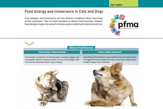 The Pet Food Manufacturers Association (PFMA) has published two new factsheets for pet owners, one about vegetarian diets and the other about food allergies. 