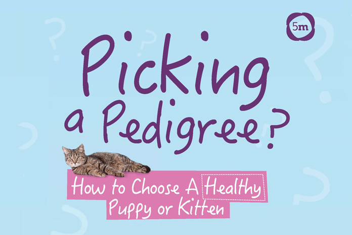 Emma Milne MRCVS, the erstwhile TV vet turned author and welfare campaigner has published Picking a Pedigree? a new book written to help people buy healthy cats and dogs and avoid the health problems and associated veterinary bills associated with certain breeds.  