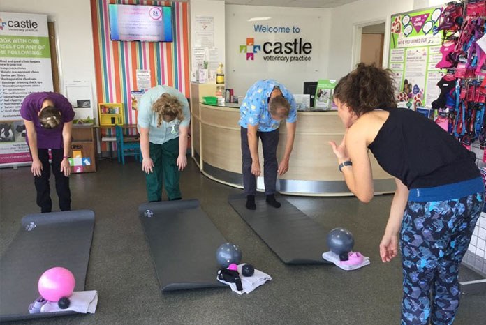 Veterinary nurse and ex practice owner Kate Bartels has launched Practice Pilates, offering pilates sessions for veterinary teams to help both their physical and mental wellbeing.