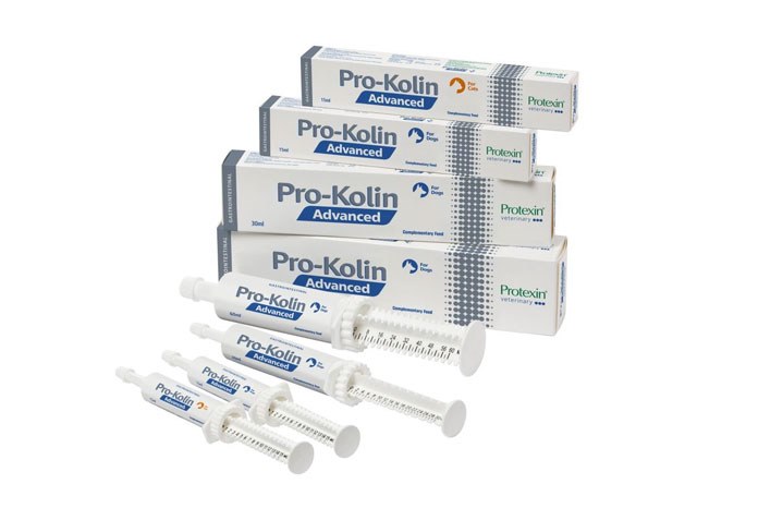 Protexin Veterinary has launched Pro-Kolin Advanced, a new gastrointestinal support product for dogs and cats.