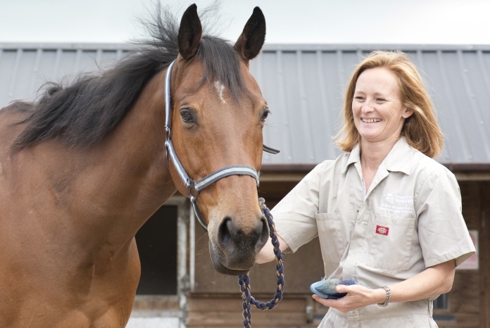 Professor Sarah Freeman, will be talking about her pioneering public awareness project on equine colic