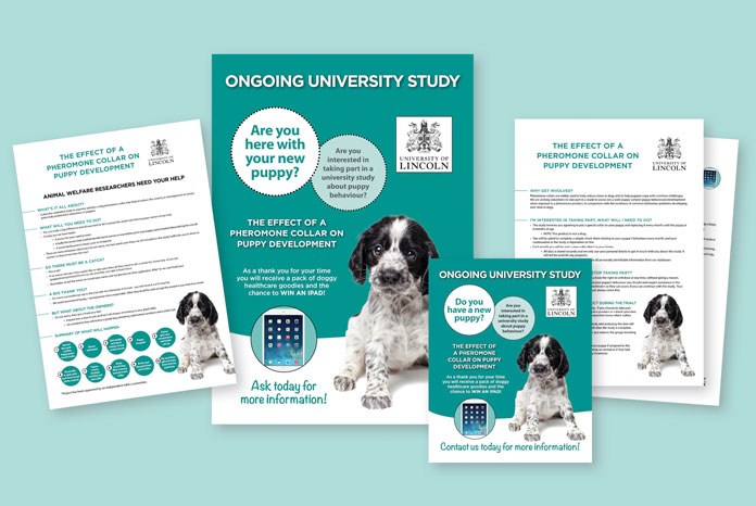 The University of Lincoln, in conjunction with Ceva Animal Health, is asking vets to help recruit puppies and their owners for a study into puppy behaviour and the effect of a pheromone collar on puppy development.