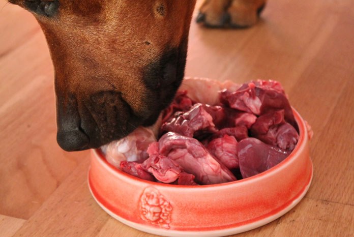 This month, the Journal of Small Animal Practice has published 'Raw diets for dogs and cats: a review, with particular reference to microbiological hazards1', which weighs up the pros and cons of raw feeding cats and dogs.