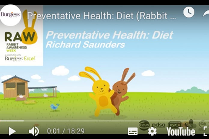 Rabbit Awareness Week (RAW) has published a three-part webinar series