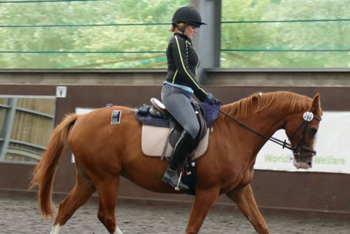 A new pilot study on the effects of rider weight on equine performance, presented at the National Equine Forum last week, has shown that high rider: horse bodyweight ratios can induce temporary lameness and discomfort.