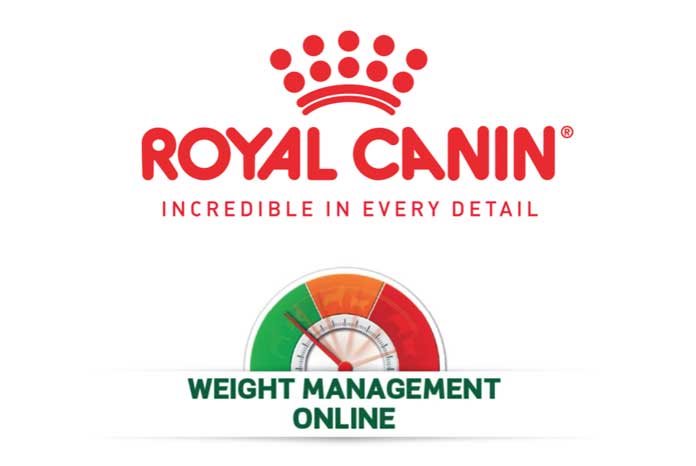 Royal Canin has launched the Weight Management Academy to help support the management of cat and dog obesity across the UK and Ireland.