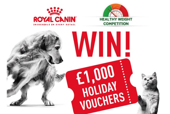 Veterinary practices are being invited to enter their patients into the Healthy Weight Competition run by Royal Canin.
