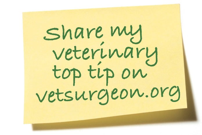 VetSurgeon.org has launched a competition in which the veterinary surgeons who submit the best professional 'top tips': those that could make life easier, quicker, better or happier for a colleague in the profession, will win a £50 Amazon voucher.