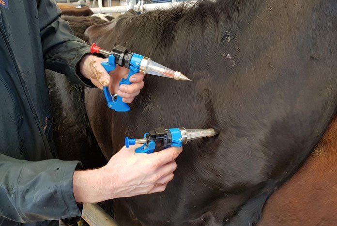 Dairy Insight has announced that the V-Grip tuberculin injector made by NJ Phillips is now available in the UK. 