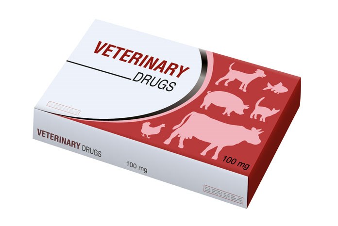 The Government has announced that veterinary medicines have been put on a list of 'critical goods' to be shipped into the country using government-secured freight capacity in the event of a no-deal Brexit.