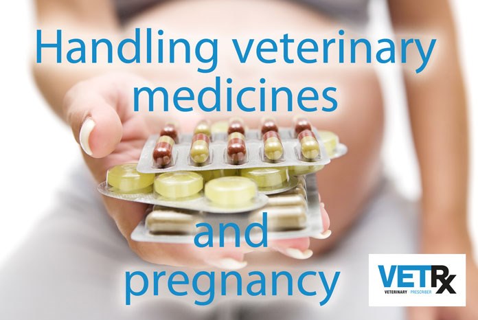 Veterinary Prescriber has launched a new online training module which explains the risks to pregnancy from handling veterinary medicines. 