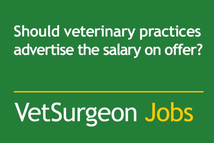 VetSurgeon.org is conducting a survey for veterinary surgeons and students to discover whether, when searching for a job, you would like to see salaries and benefits advertised in job adverts.