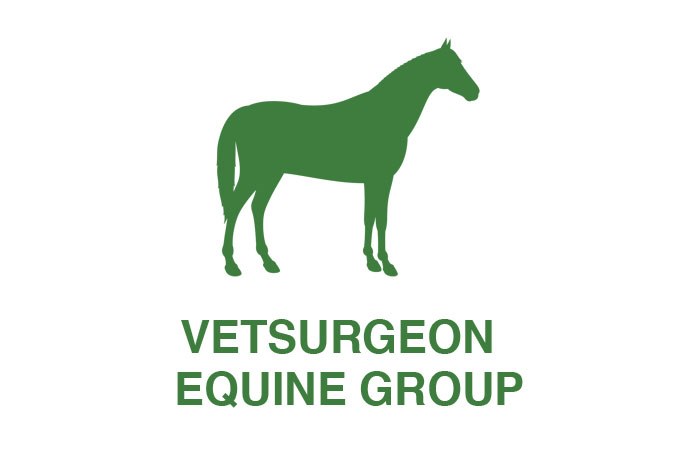VetSurgeon.org has launched the new Equine Group