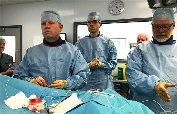Willows Veterinary Centre in Solihull now offers keyhole surgery to treat intrahepatic shunts – abnormal connections between veins – inside the livers of dogs.