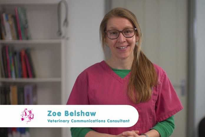 Elanco Animal Health, maker of Onsior, has created a new film in collaboration with Zoe Belshaw