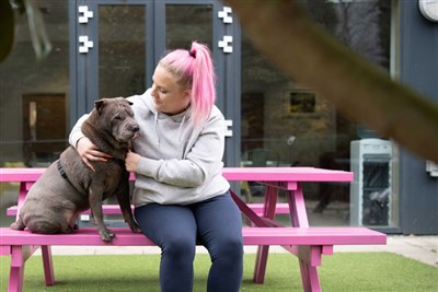 StreetVet launches hostel scheme to help people and their pets off the streets