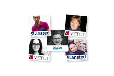 Veterinary medicine specialists step forward to help colleagues in general practice