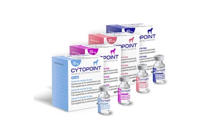 Cytopoint now licensed for pruritus associated with allergic dermatitis