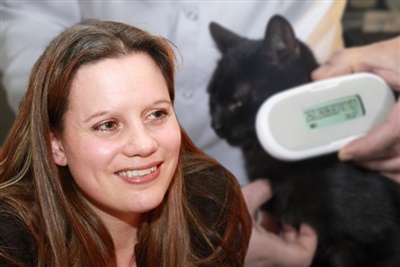 6 top tips for addressing clients' concerns over cat microchips