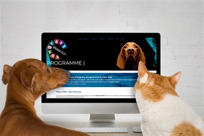 BSAVA 2021 programme is now live