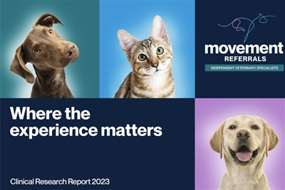Latest orthopaedic research from Movement Referrals