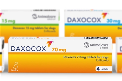 Daxocox gains UK perioperative licence for canine surgery