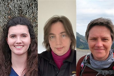 Sue Paterson, Olivia Cook and Abbie Calow elected to RCVS Council