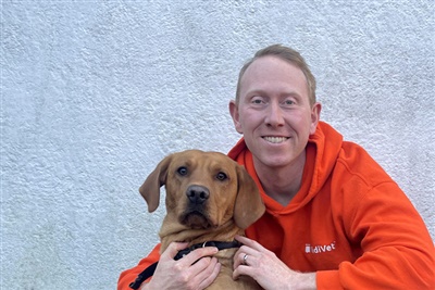 Veterinary triage service partners with practice management software company to streamline vets' workflow