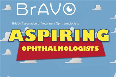 This way for aspiring veterinary ophthalmologists