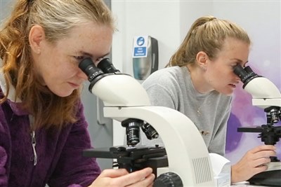 New fellowship for veterinary Early Career Researchers