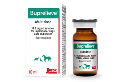 New buprenorphine formulation for reduced injection site pain