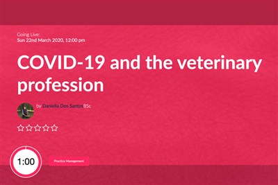 STOP PRESS. BVA webinar: COVID-19 and the veterinary profession. Noon tomorrow.