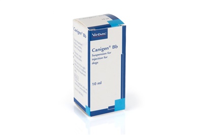New injectable Bordetella bronchiseptica vaccine for dogs
