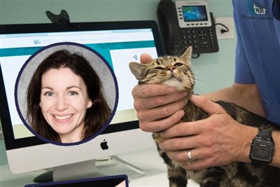 UK's first dedicated ophthalmology referral clinic for cats