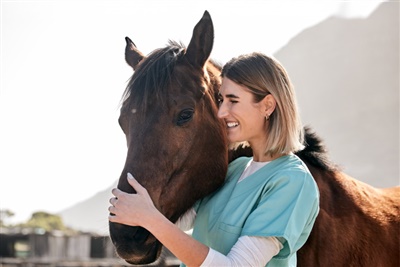 CVS launches career progression framework for equine and farm vets