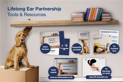 Dechra launches otitis externa resources for vets