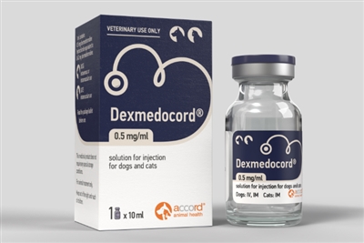 Accord launches lower-cost dexmedetomidine option for UK practices