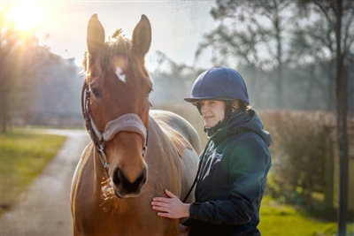 New award to recognise exceptional equine vets