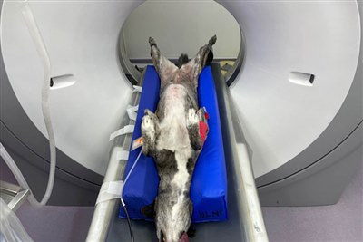 Two new positioning aids for CT scanning and surgery