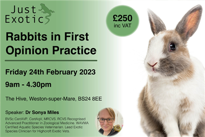 Rabbit CPD coming to Weston-super-Mare