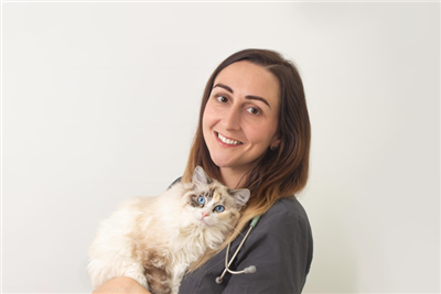 New webinars to support veterinary mental health