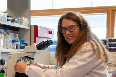 RVC research identifies an important reason for equine pregnancy loss