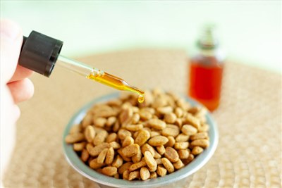 RVC finds MCT oil could improve epileptic dogs' memory
