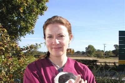 CPD talk about rabbit dentistry will focus on collaboration between vets and nurses