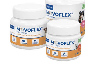 Virbac launches joint care supplement for dogs