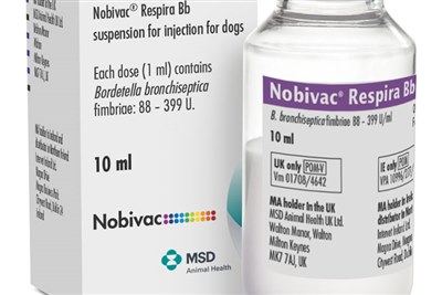 New injectable vaccine against Bordetella bronchiseptica