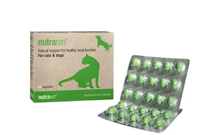 New renal nutraceutical for cats and dogs